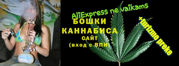 эйфоретик Майский
