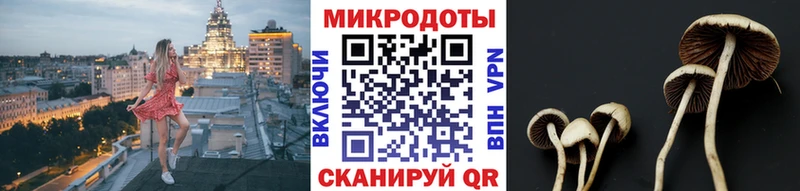 Галлюциногенные грибы Cubensis  как найти закладки  OMG ссылка  Томмот 